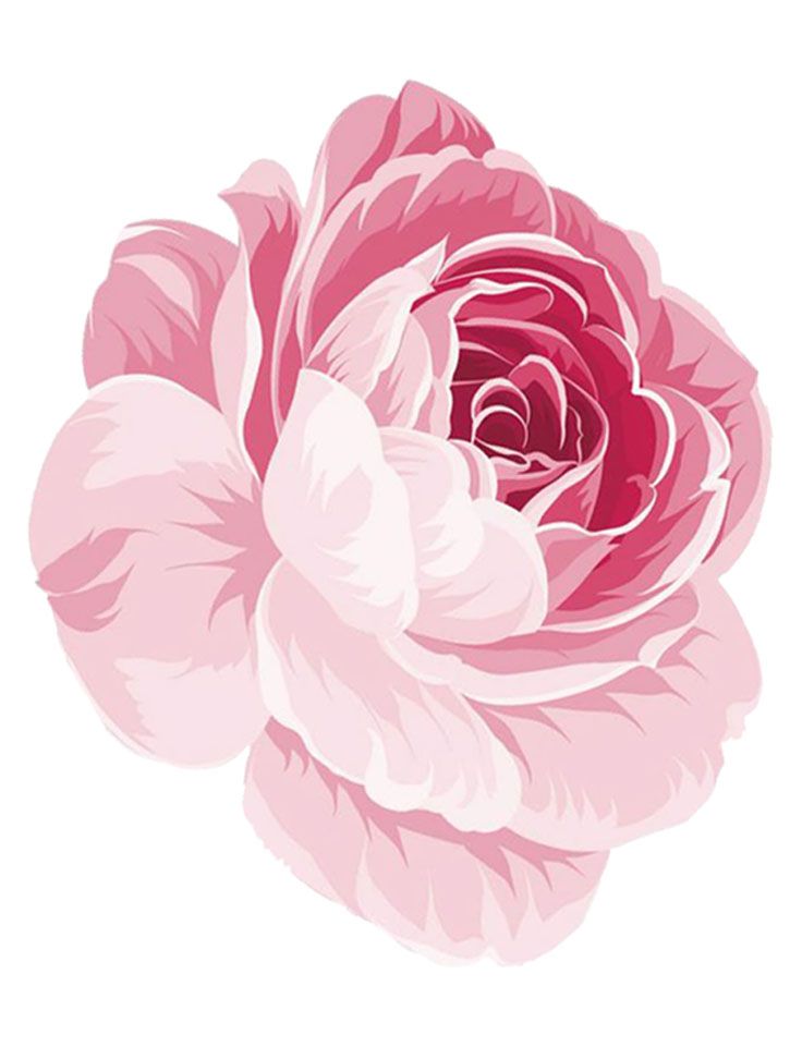 Aura Rosa